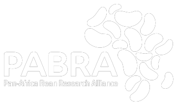 Pabra Logo